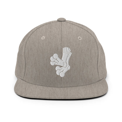 Snapback Hat | Aquasox Softball | Athletic Sock Logo