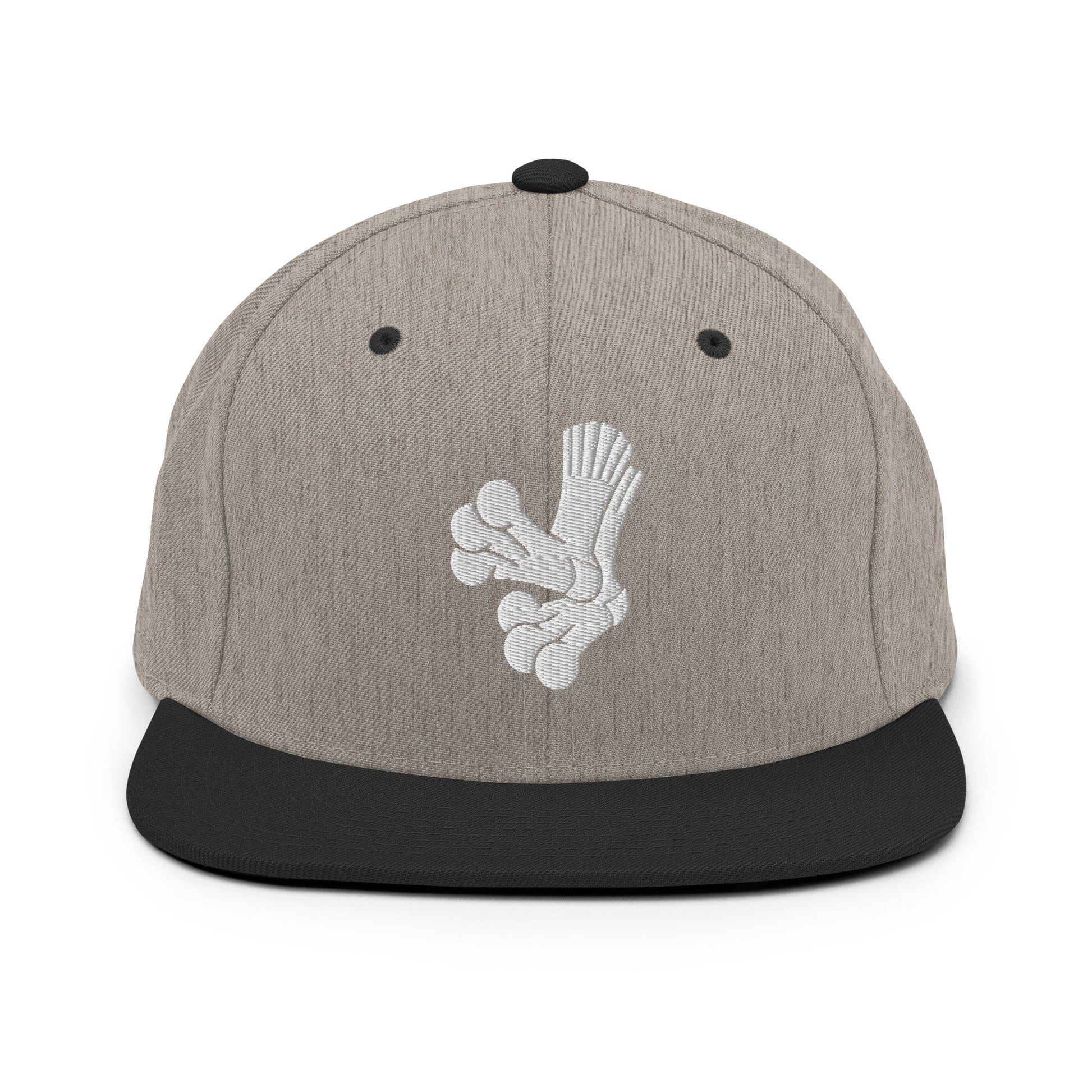 Snapback Hat | Aquasox Softball | Athletic Sock Logo