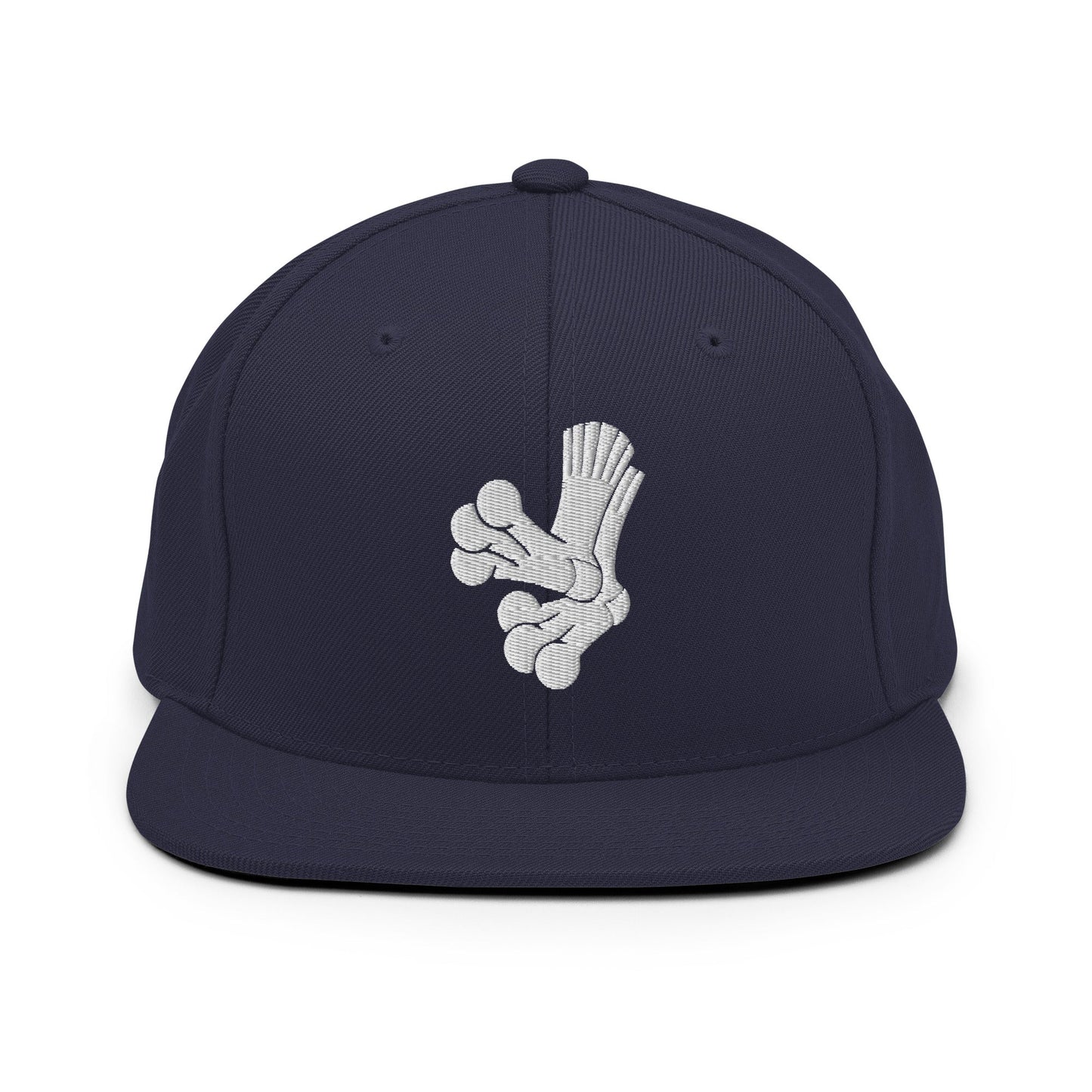Snapback Hat | Aquasox Softball | Athletic Sock Logo