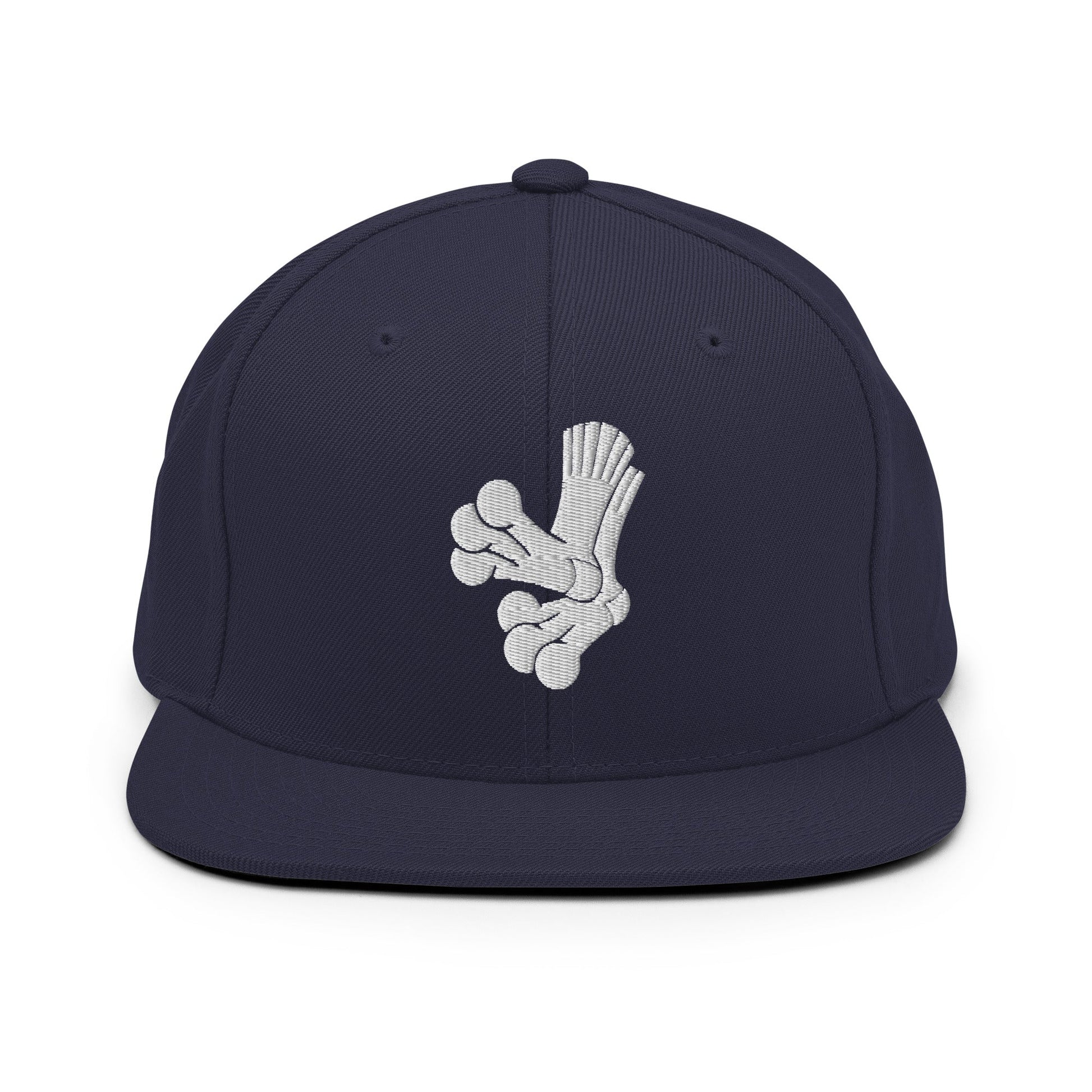 Snapback Hat | Aquasox Softball | Athletic Sock Logo
