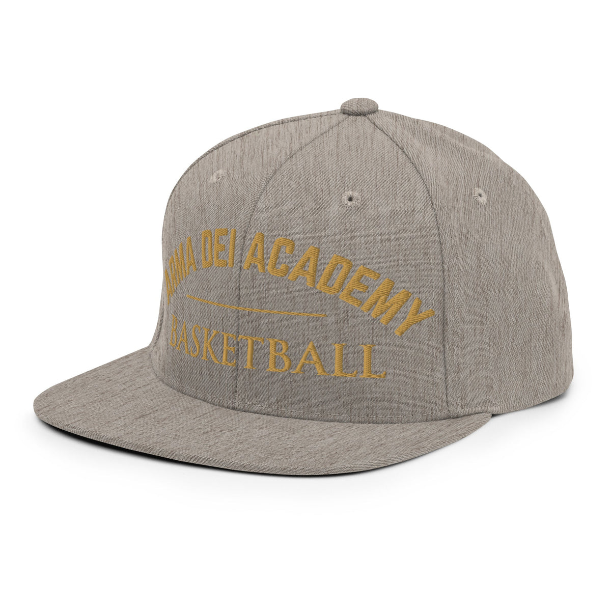 Snapback Hat | Arma Dei Academy Basketball