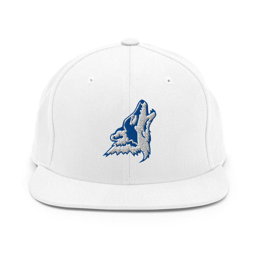 Snapback Hat | CSN Volleyball | Mascot Logo