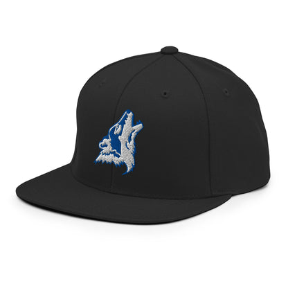 Snapback Hat | CSN Volleyball | Mascot Logo