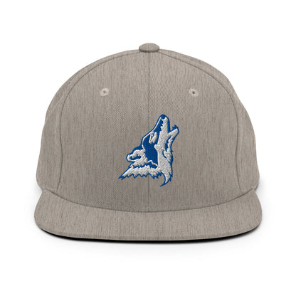 Snapback Hat | CSN Volleyball | Mascot Logo