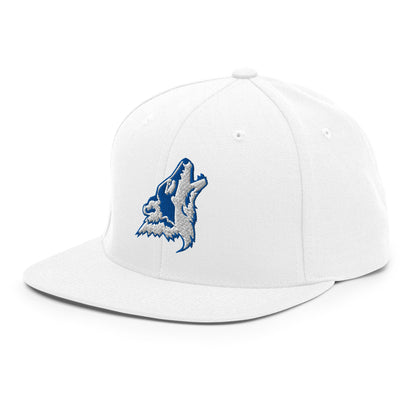 Snapback Hat | CSN Volleyball | Mascot Logo