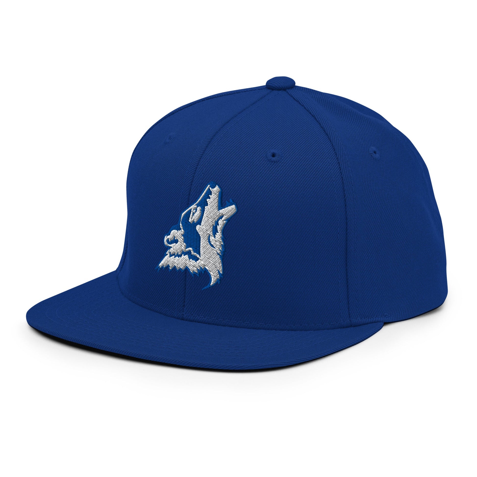Snapback Hat | CSN Volleyball | Mascot Logo