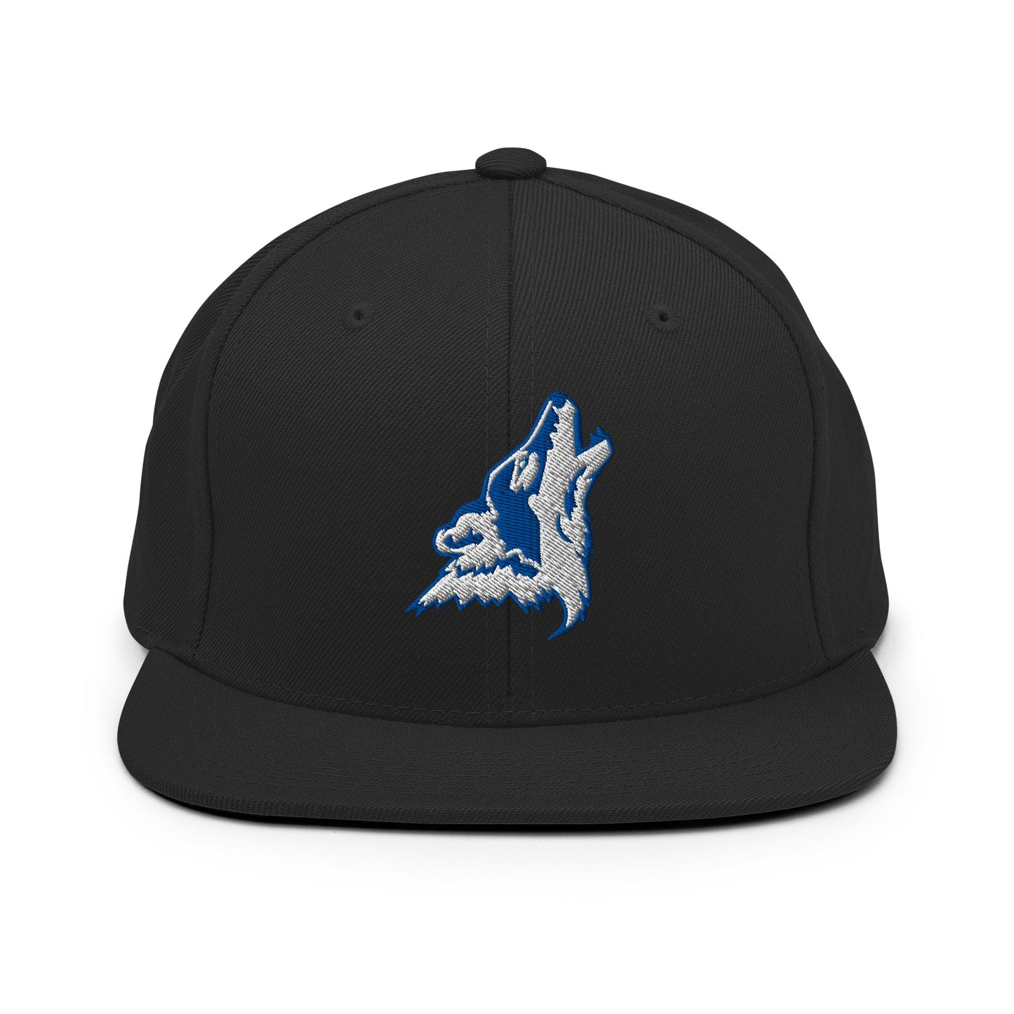 Snapback Hat | CSN Volleyball | Mascot Logo