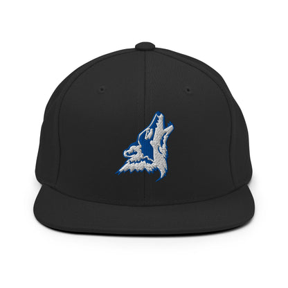 Snapback Hat | CSN Volleyball | Mascot Logo