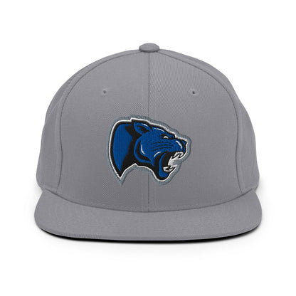 Snapback Hat | Denmark Technical College