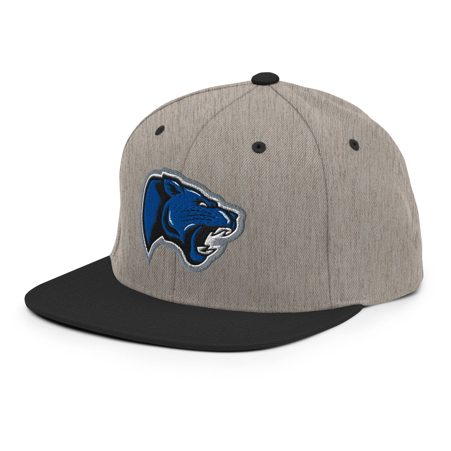 Snapback Hat | Denmark Technical College
