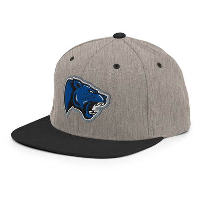Snapback Hat | Denmark Technical College