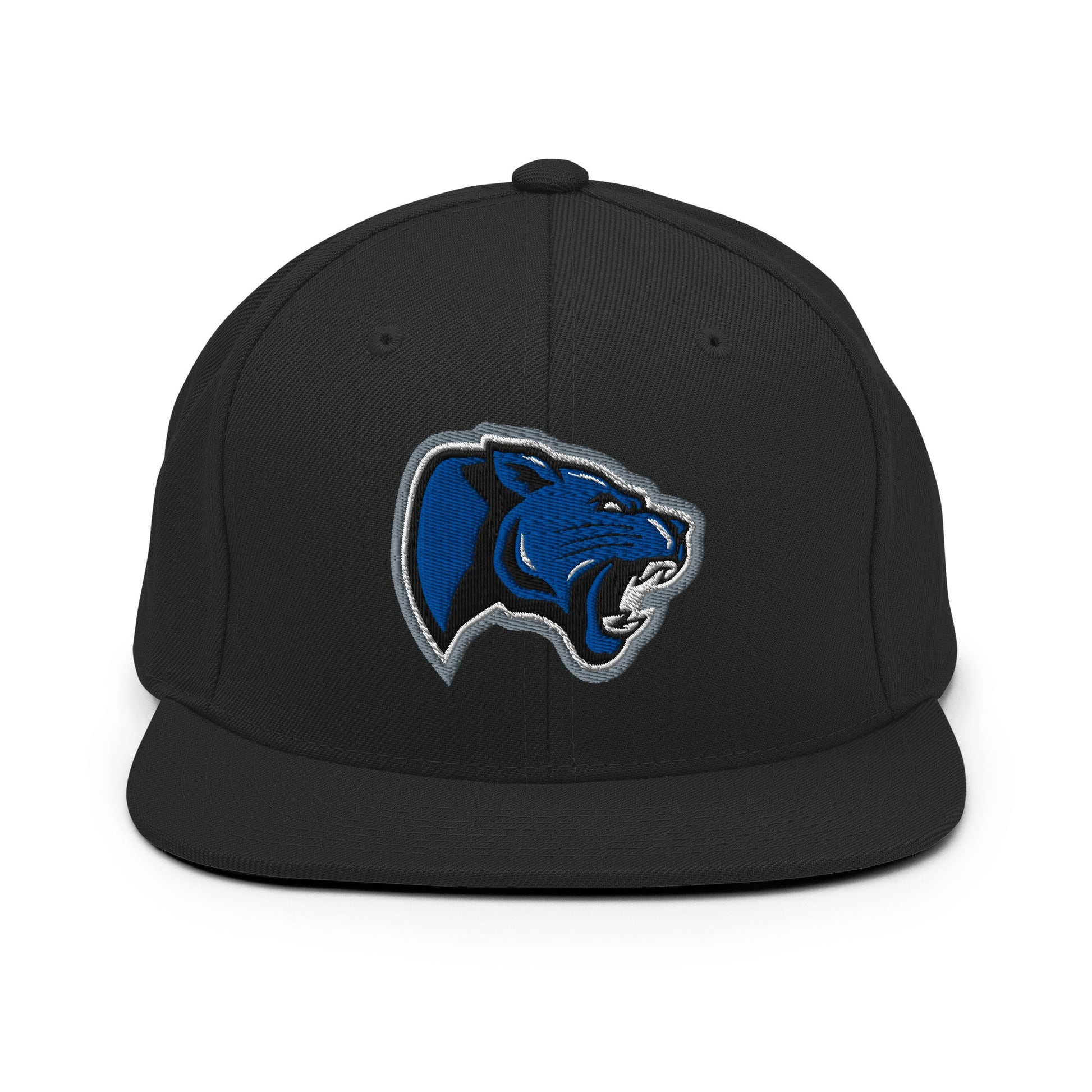 Snapback Hat | Denmark Technical College