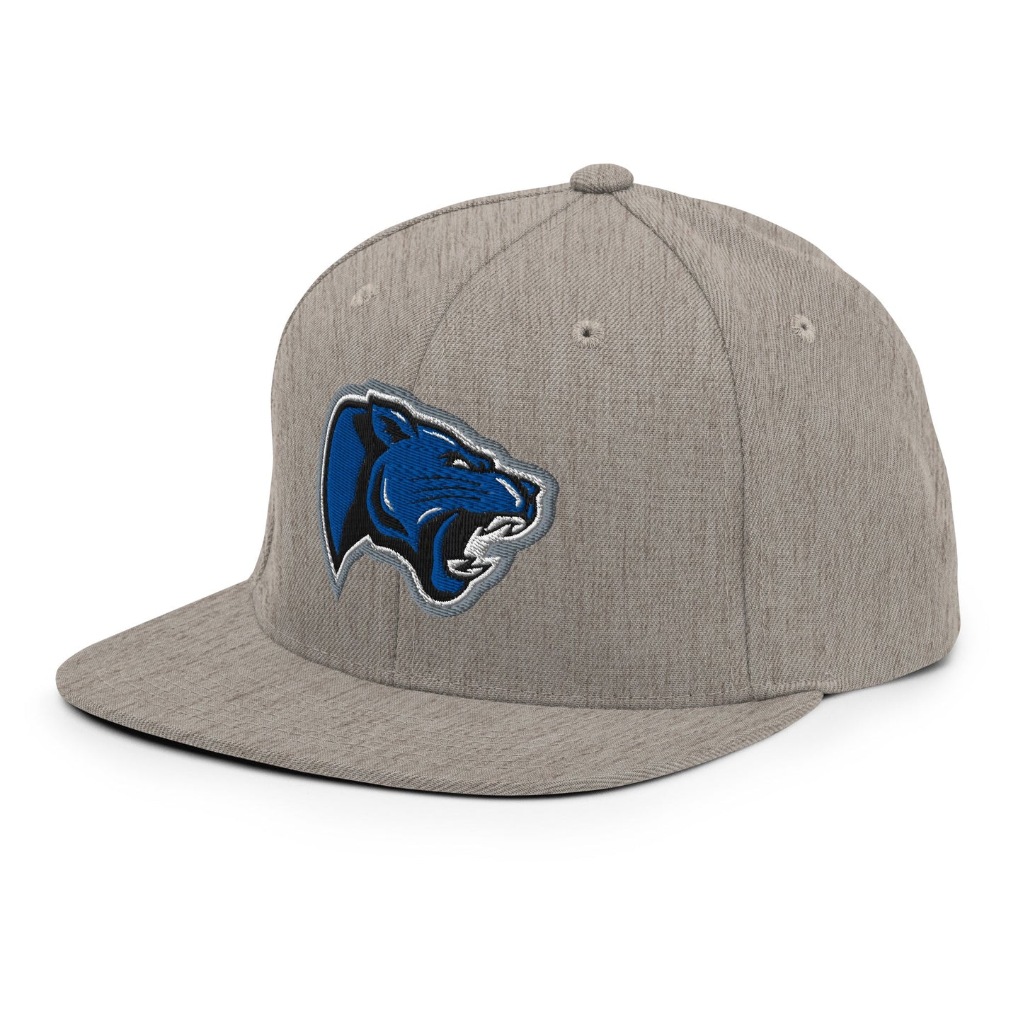 Snapback Hat | Denmark Technical College