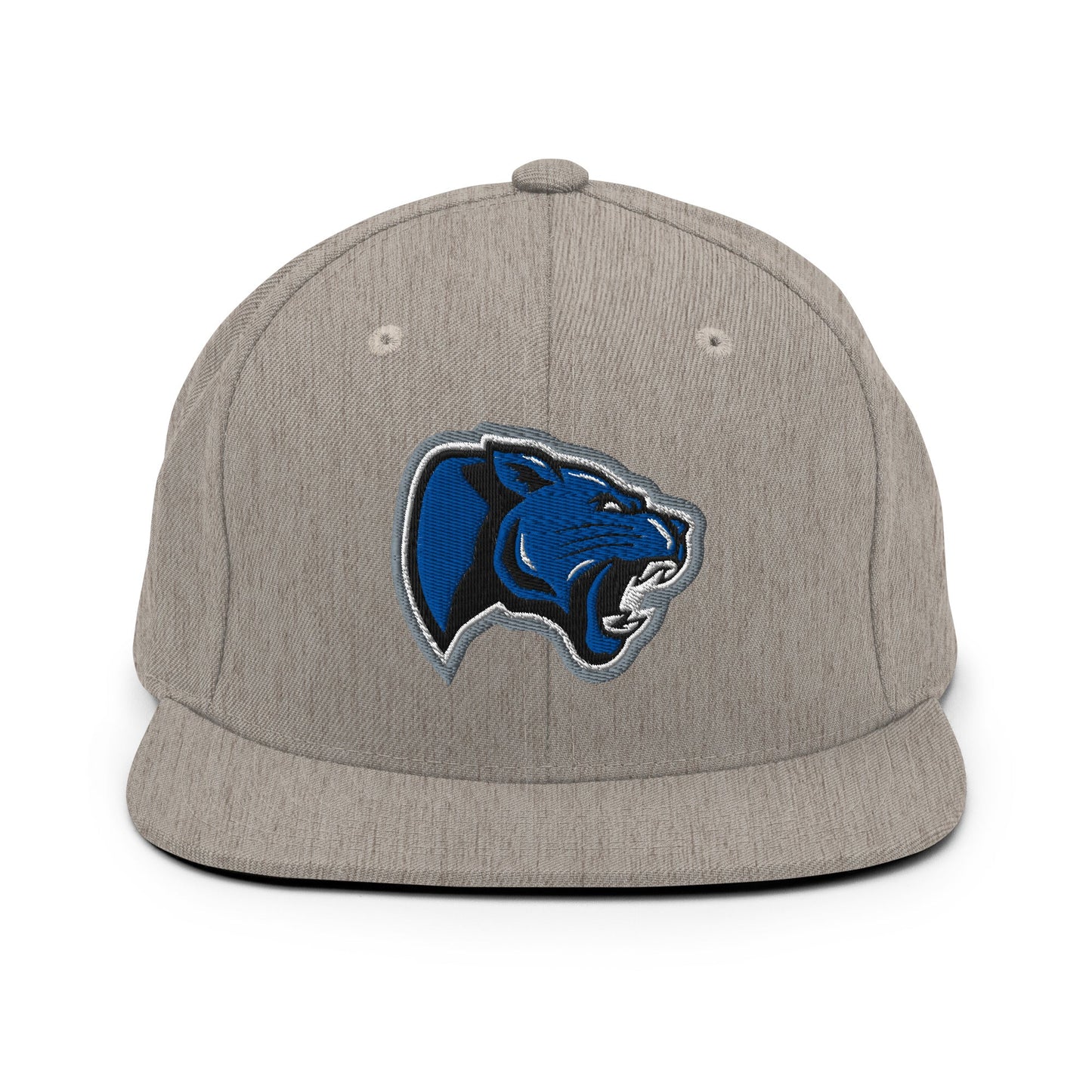 Snapback Hat | Denmark Technical College