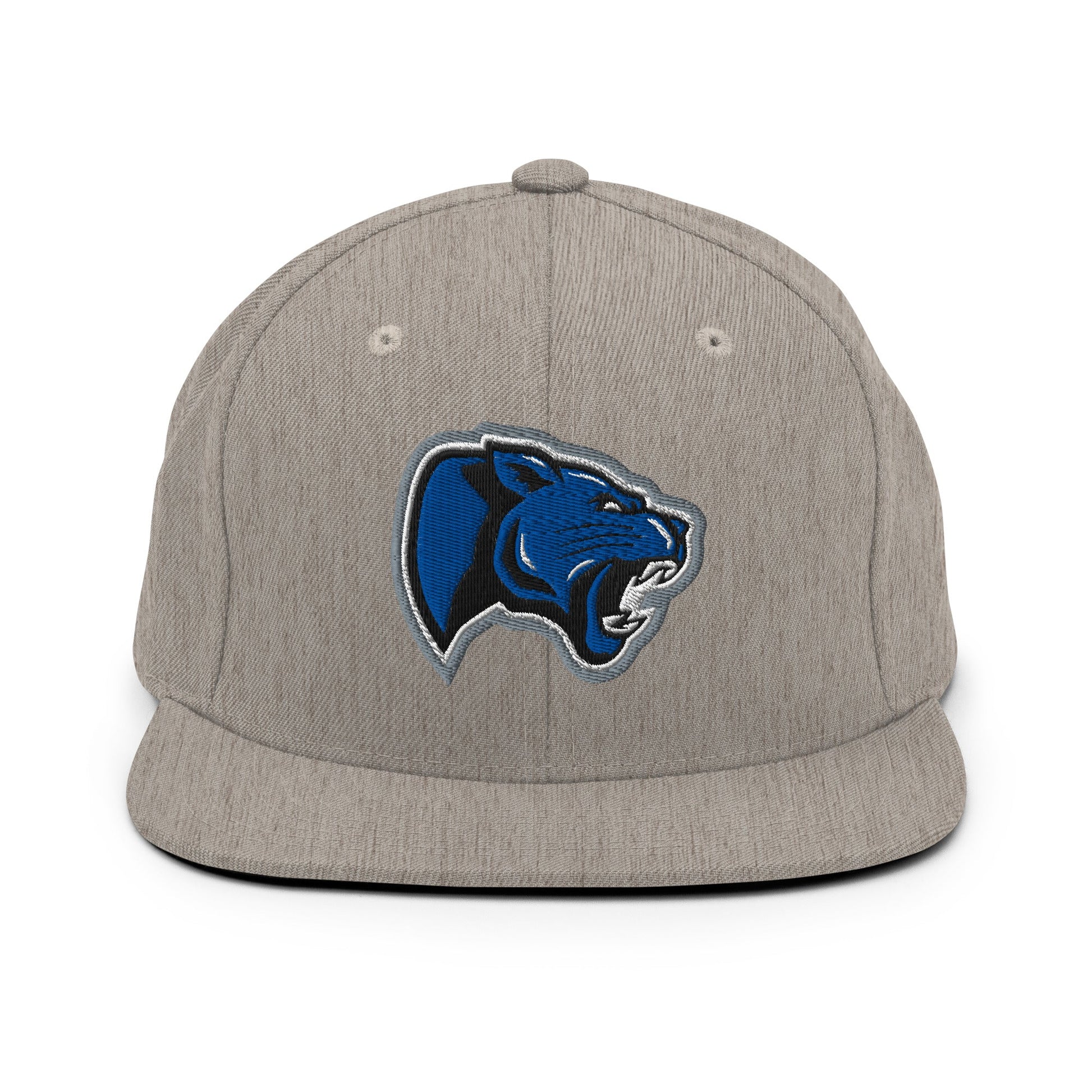 Snapback Hat | Denmark Technical College