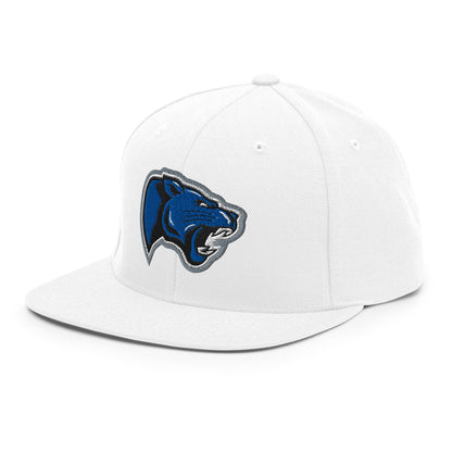 Snapback Hat | Denmark Technical College