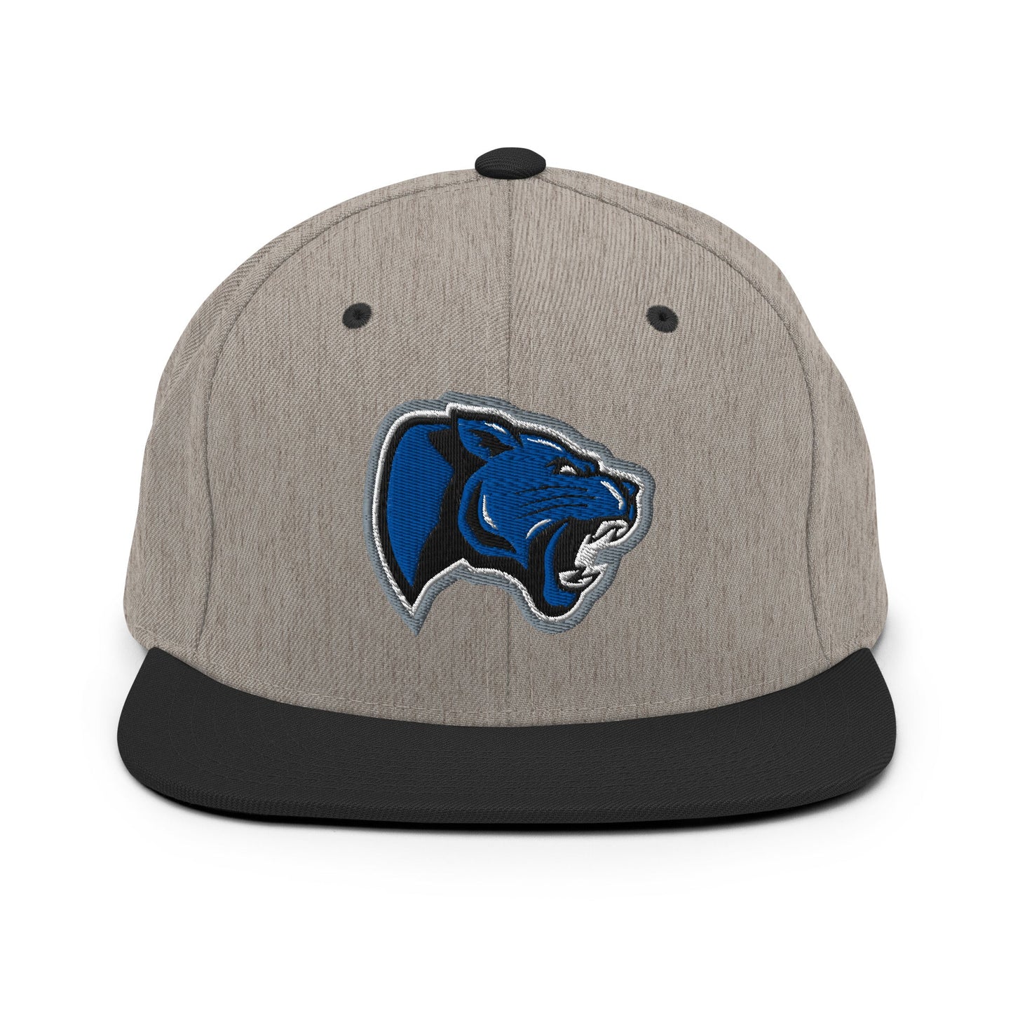Snapback Hat | Denmark Technical College