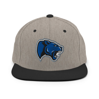 Snapback Hat | Denmark Technical College