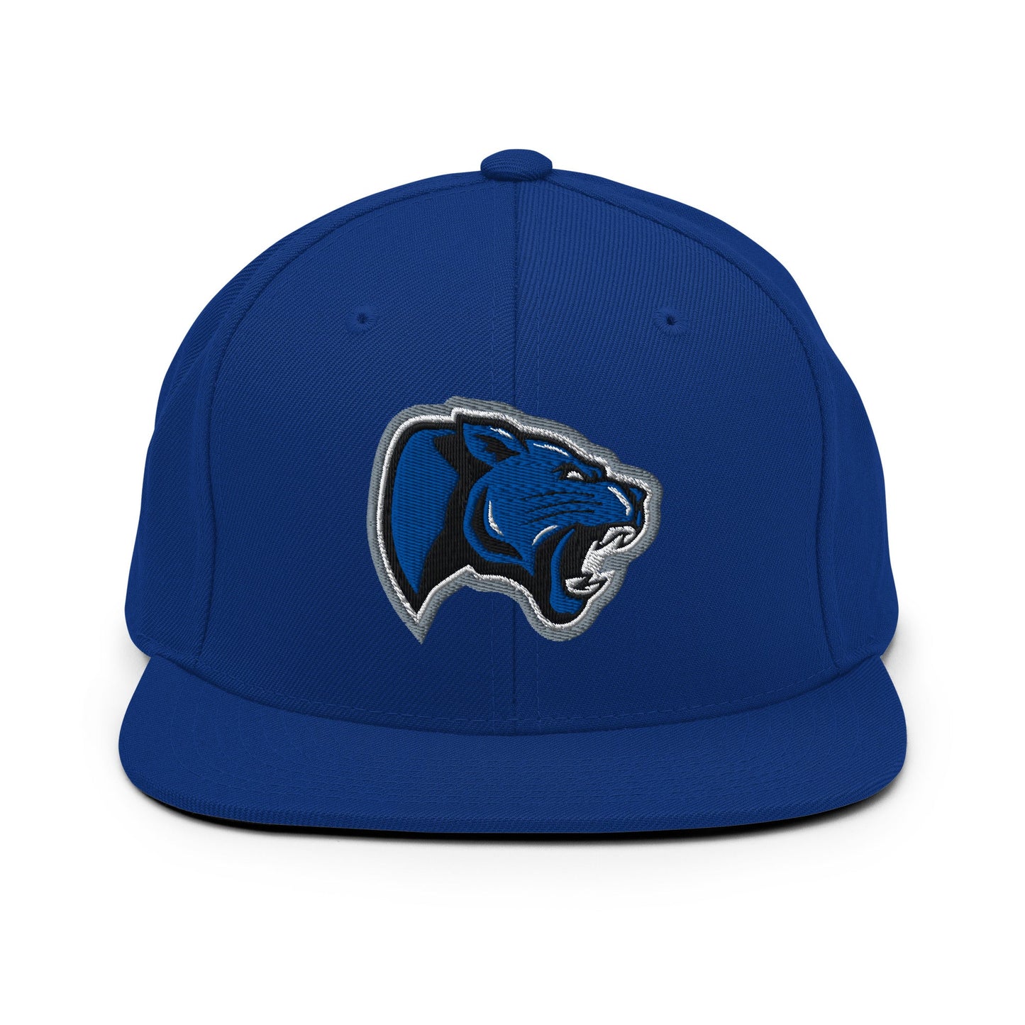 Snapback Hat | Denmark Technical College