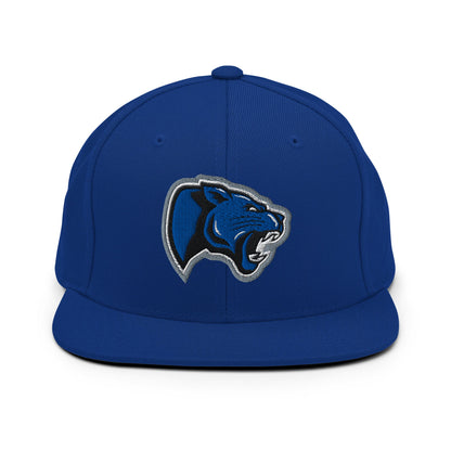 Snapback Hat | Denmark Technical College