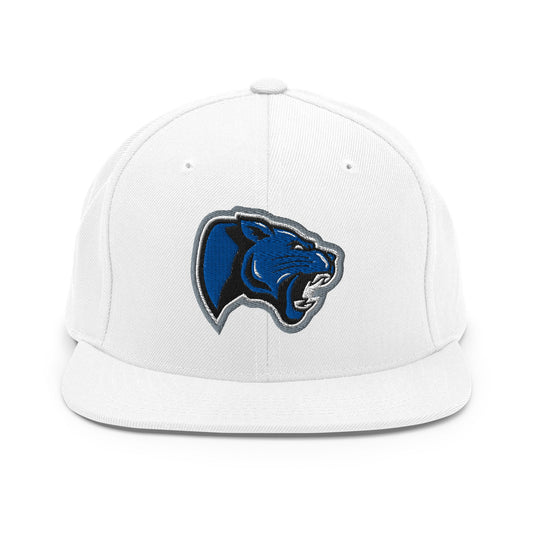 Snapback Hat | Denmark Technical College
