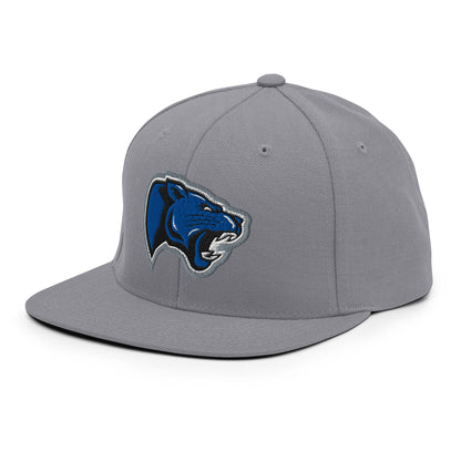 Snapback Hat | Denmark Technical College