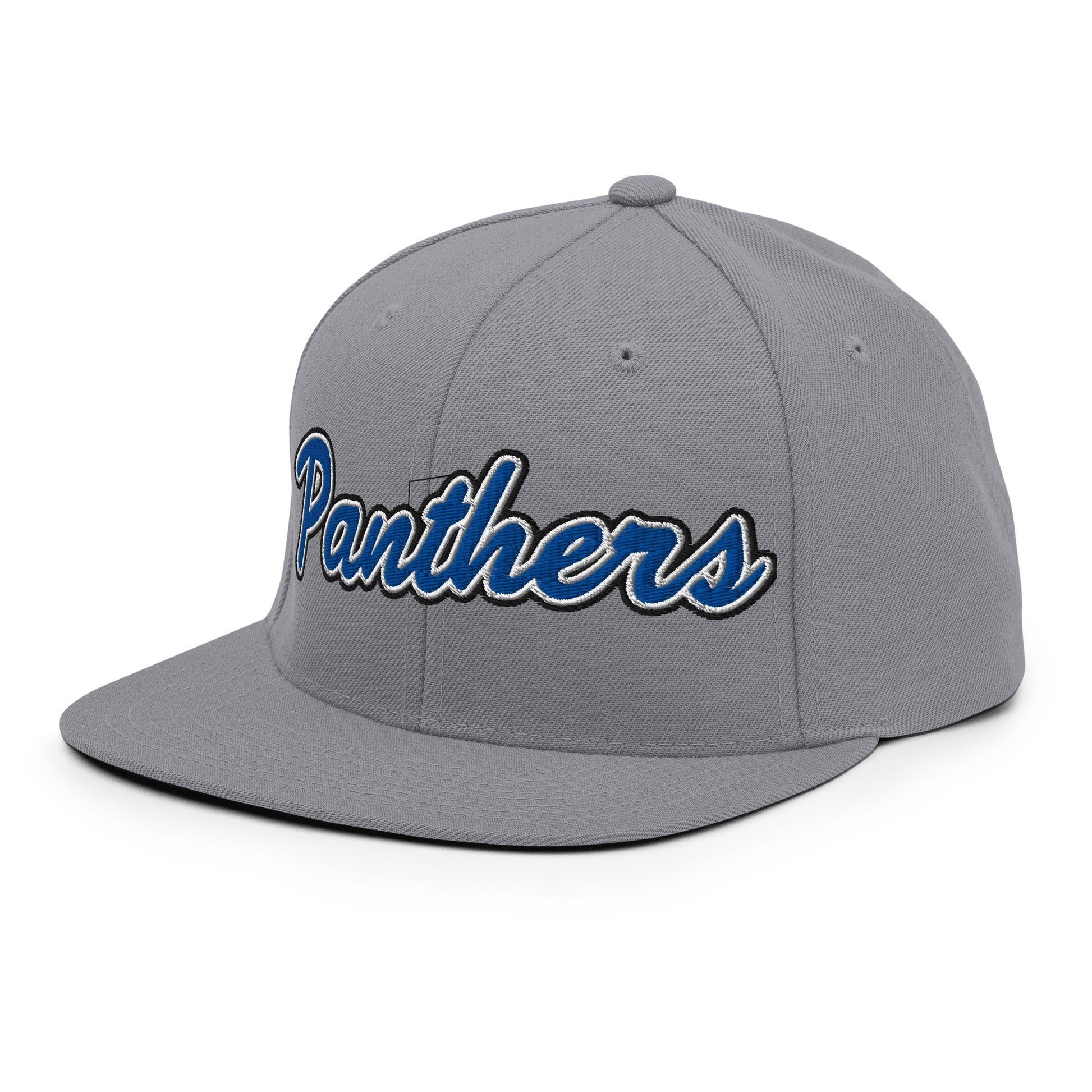 Snapback Hat | Denmark Technical College | Script Logo