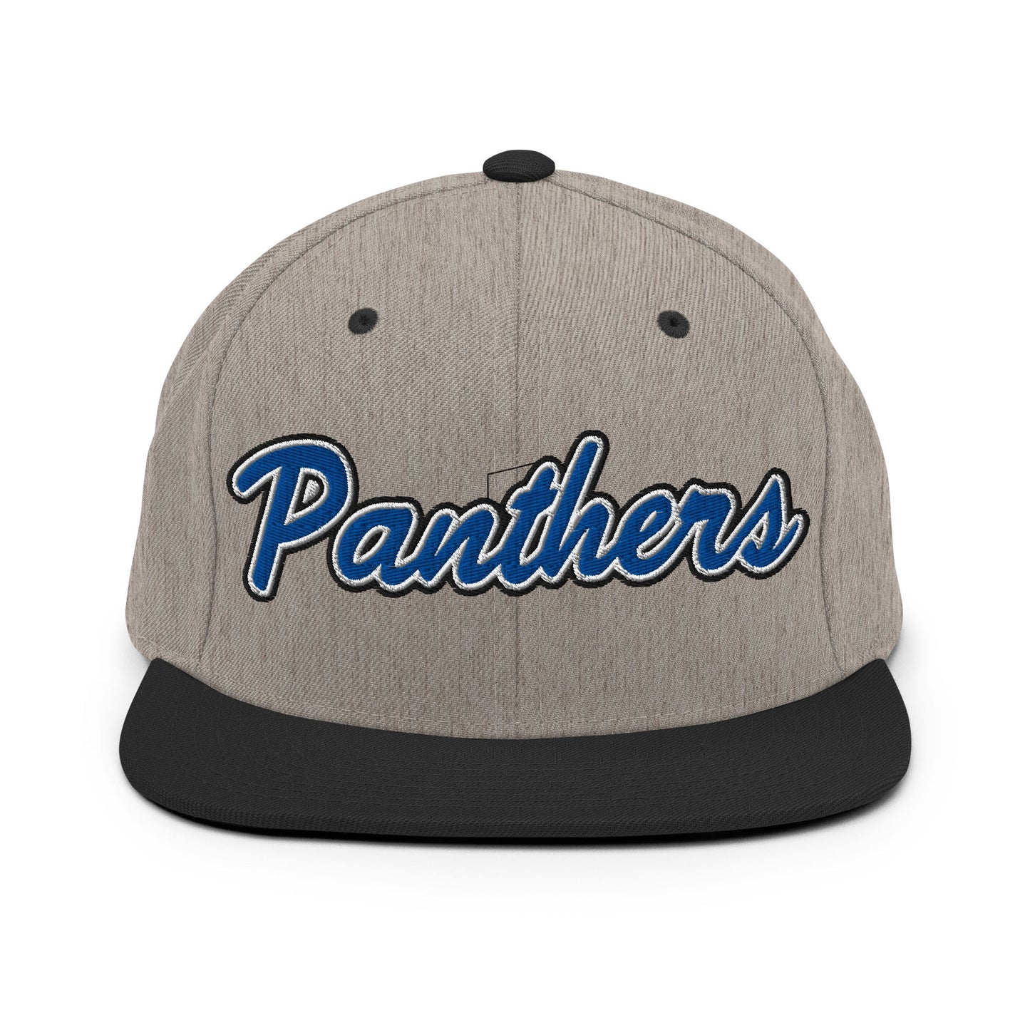 Snapback Hat | Denmark Technical College | Script Logo