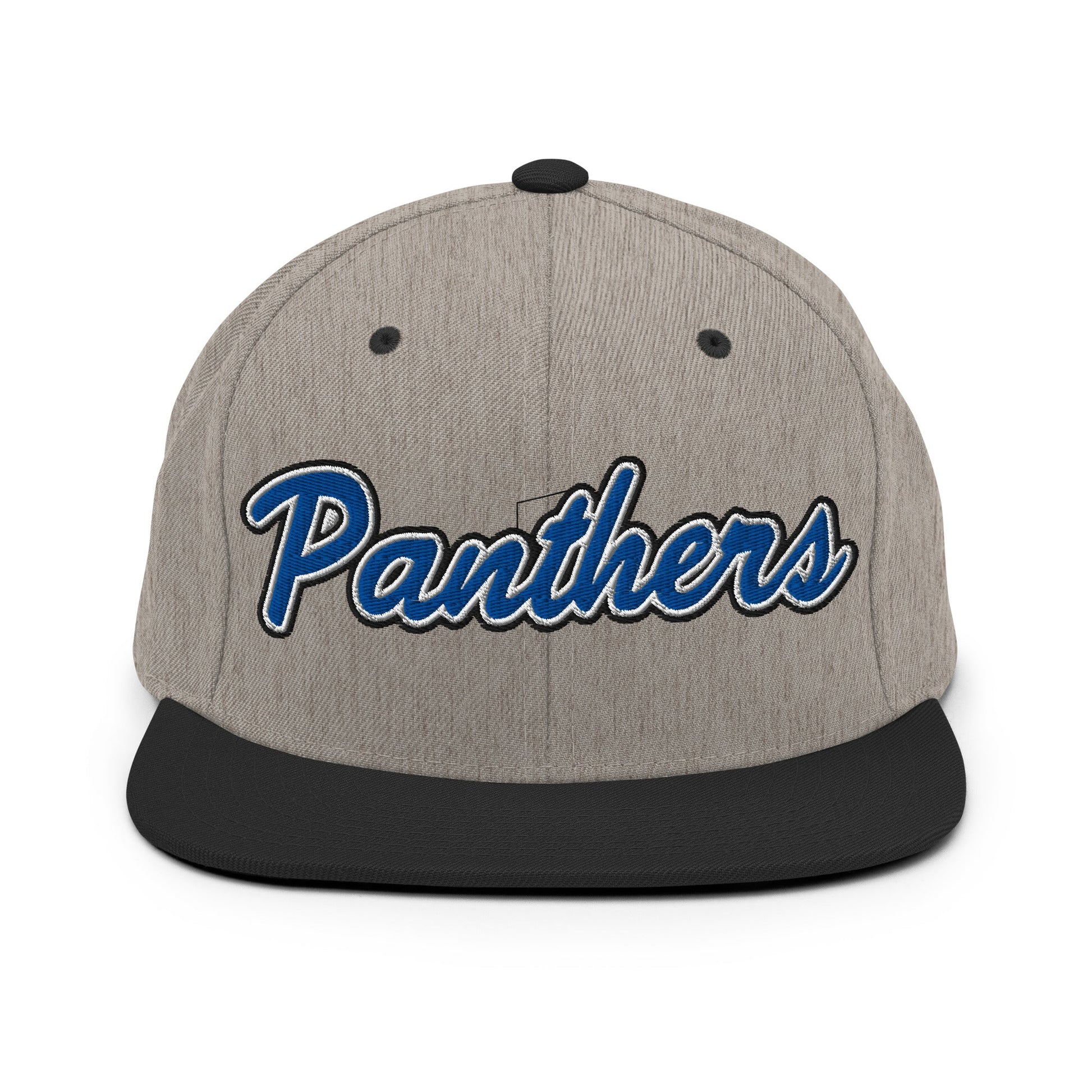 Snapback Hat | Denmark Technical College | Script Logo