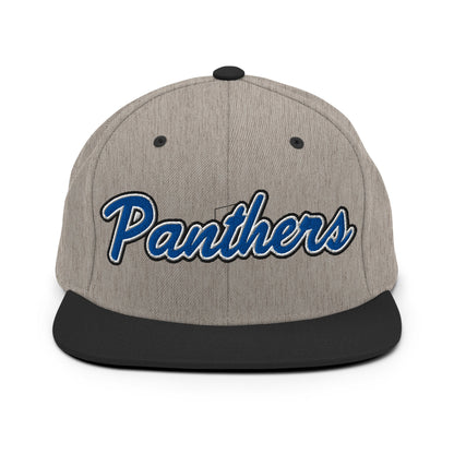 Snapback Hat | Denmark Technical College | Script Logo