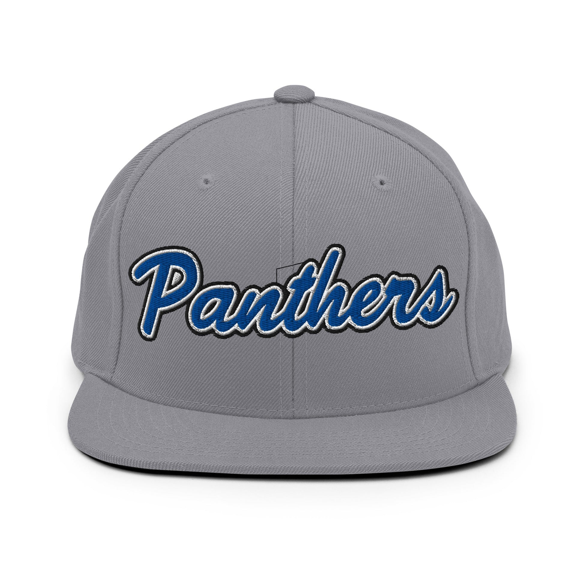 Snapback Hat | Denmark Technical College | Script Logo