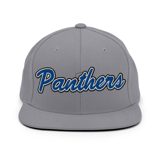 Snapback Hat | Denmark Technical College | Script Logo