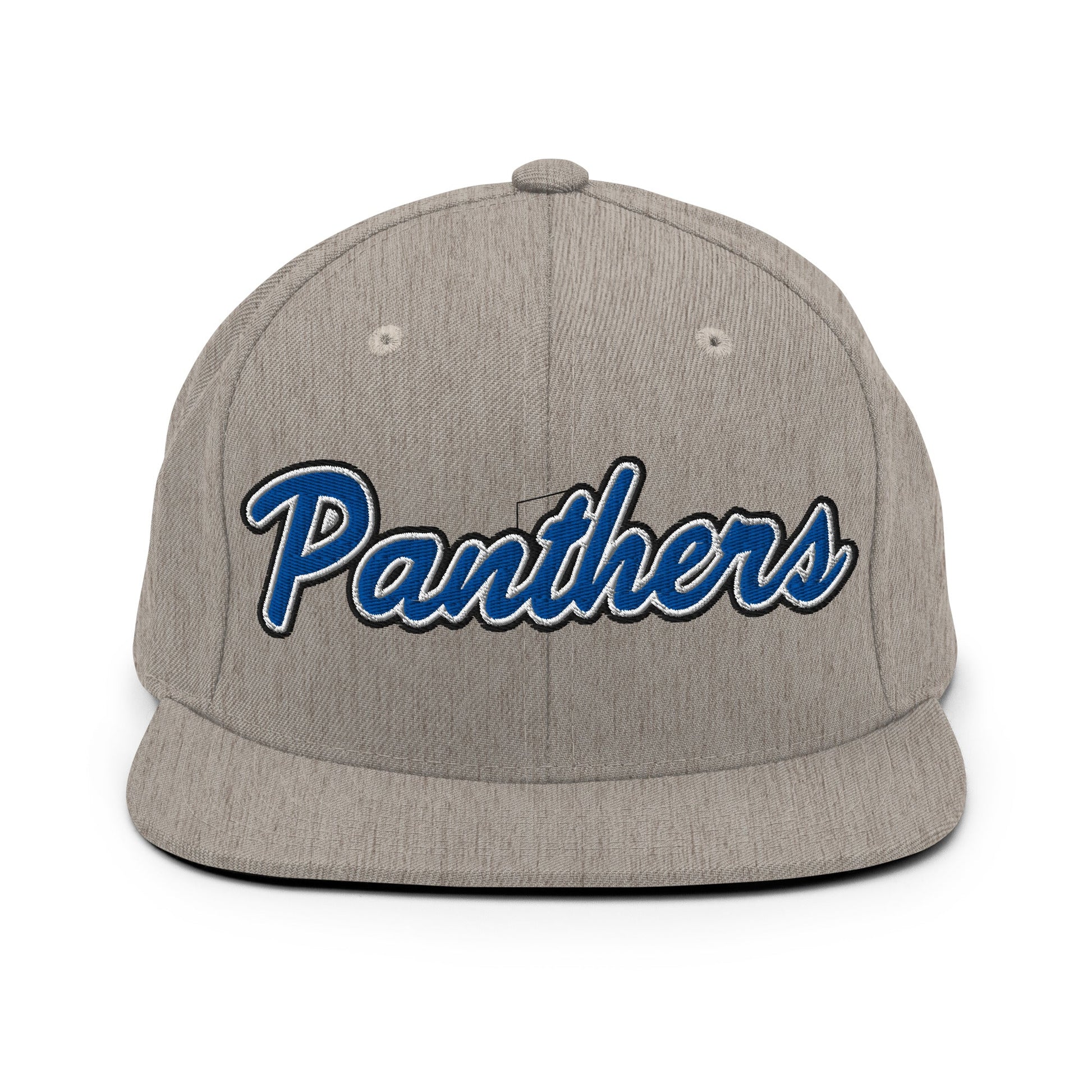 Snapback Hat | Denmark Technical College | Script Logo