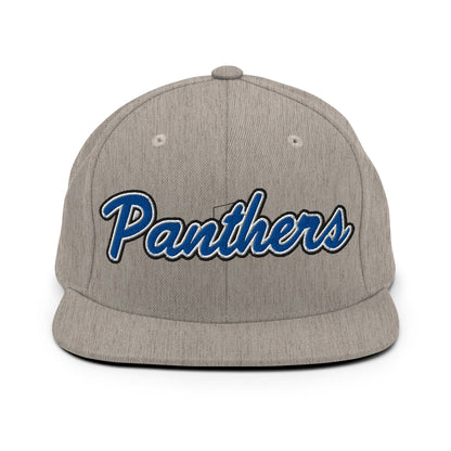 Snapback Hat | Denmark Technical College | Script Logo