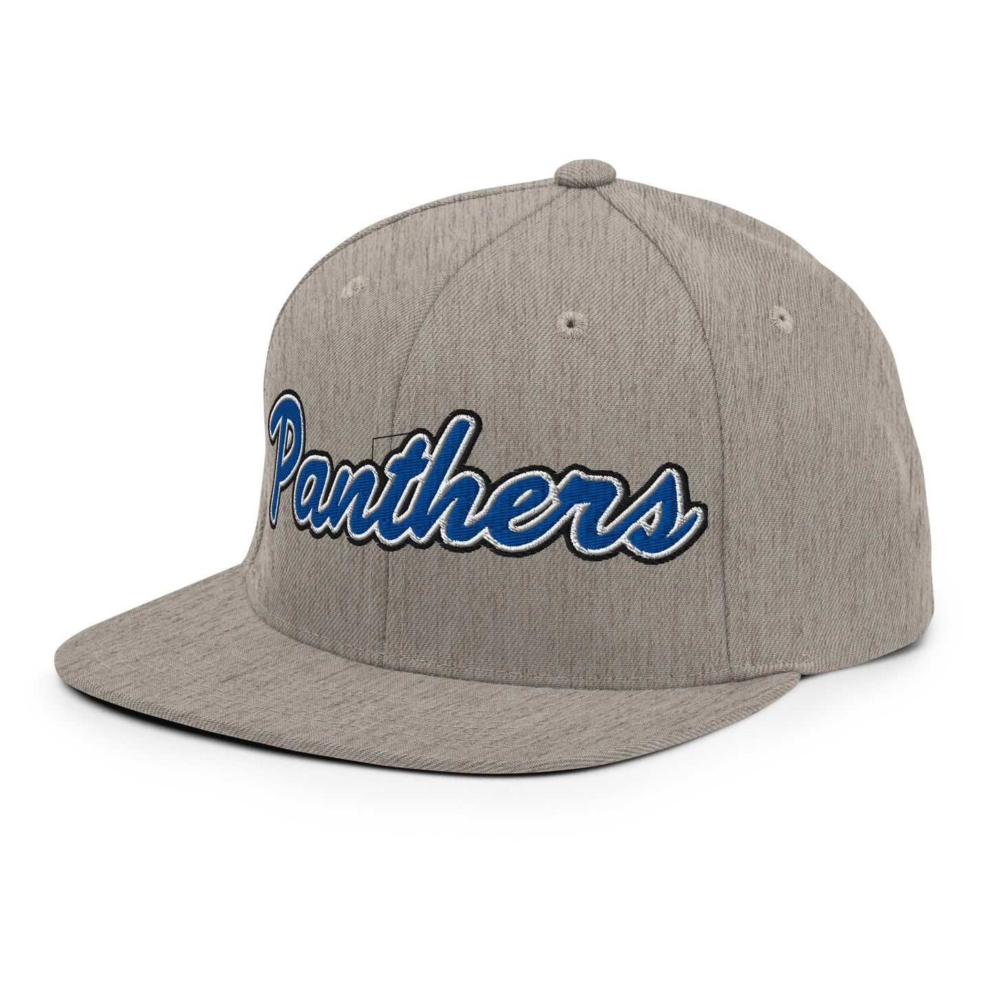 Snapback Hat | Denmark Technical College | Script Logo