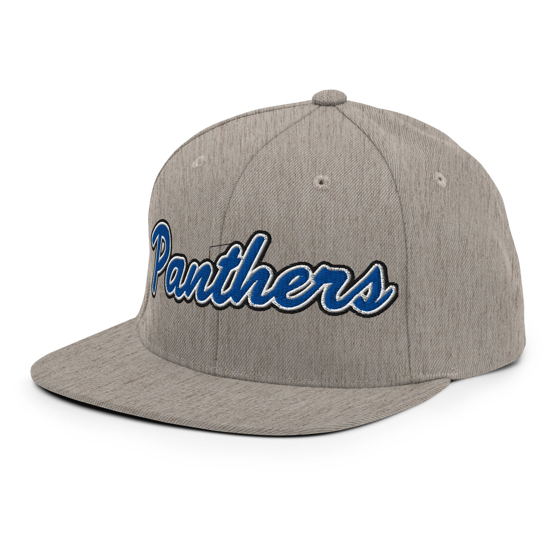 Snapback Hat | Denmark Technical College | Script Logo