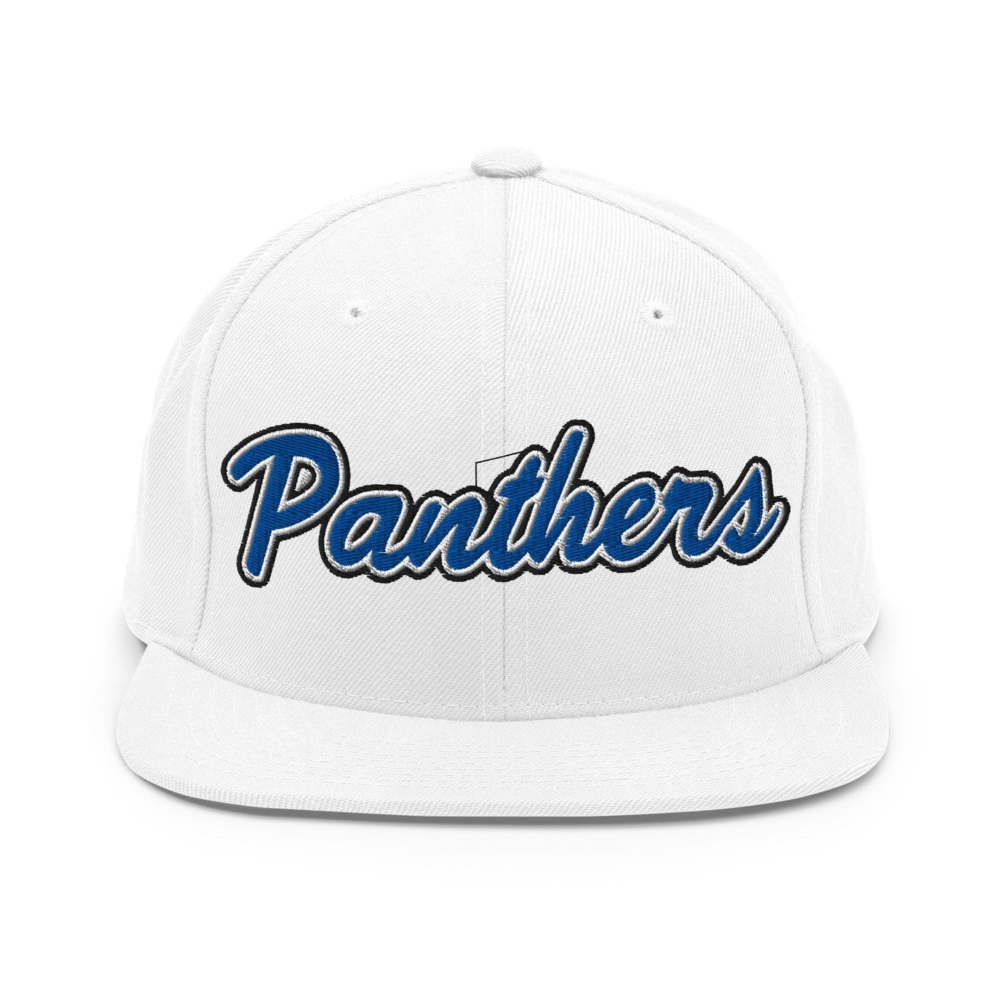 Snapback Hat | Denmark Technical College | Script Logo