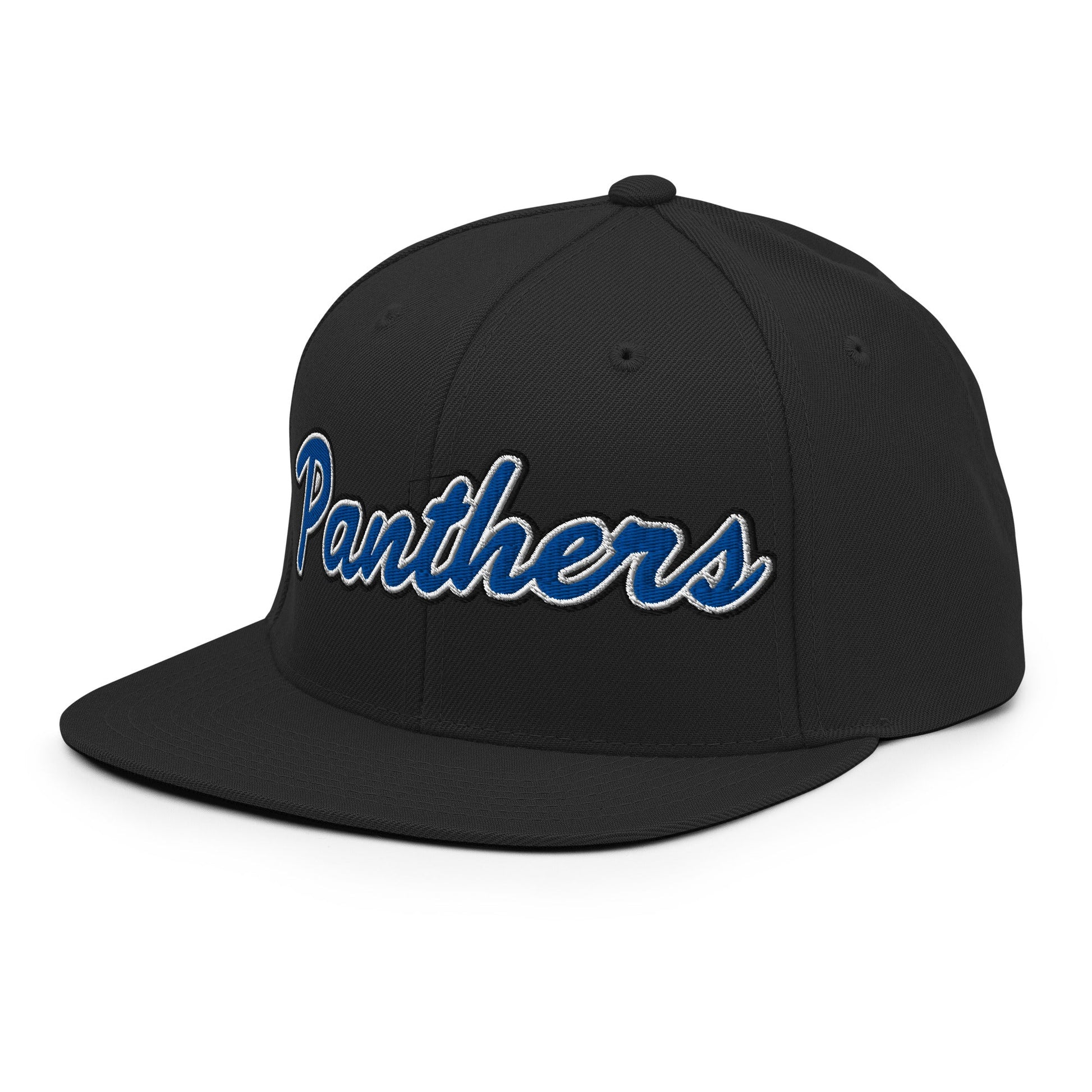 Snapback Hat | Denmark Technical College | Script Logo