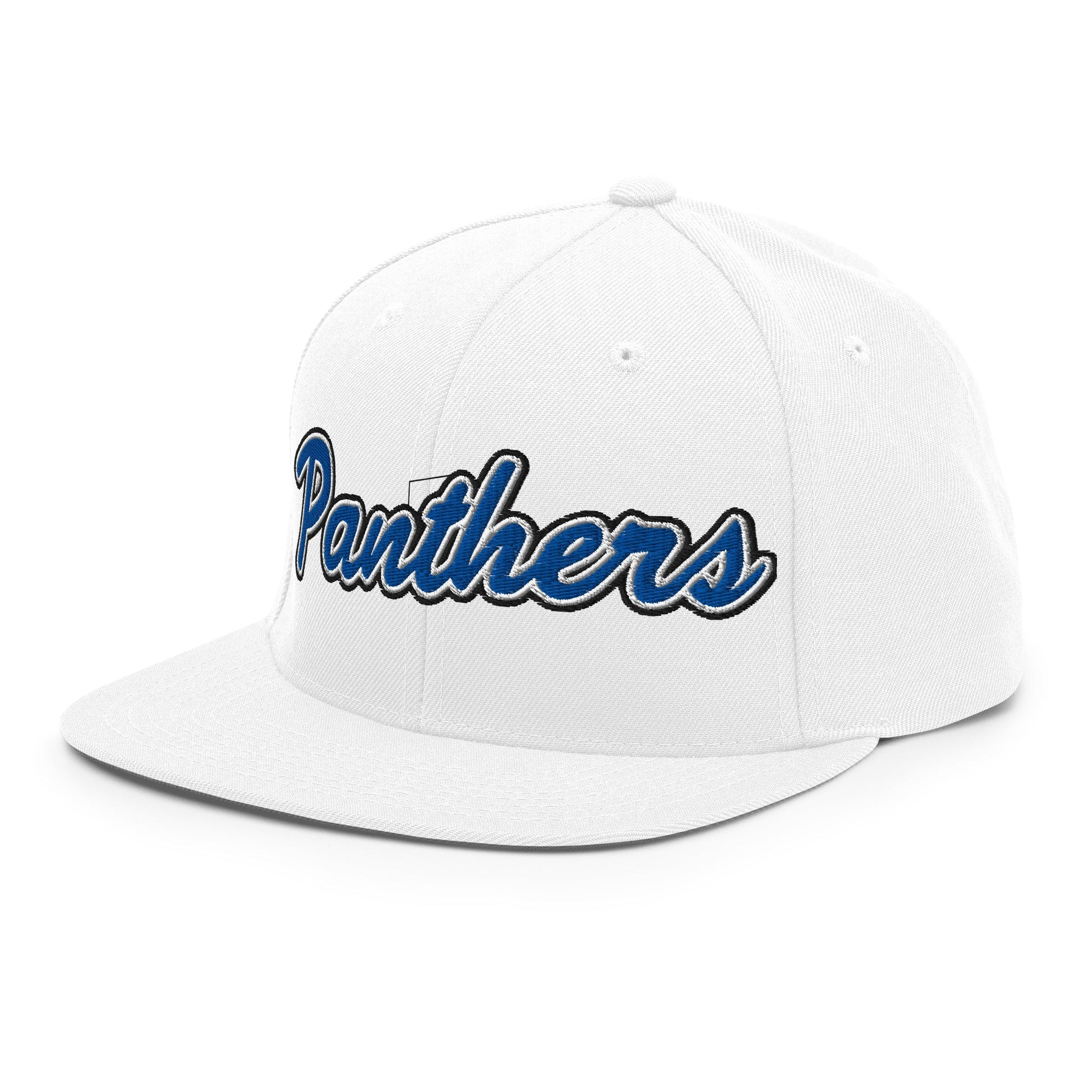 Snapback Hat | Denmark Technical College | Script Logo