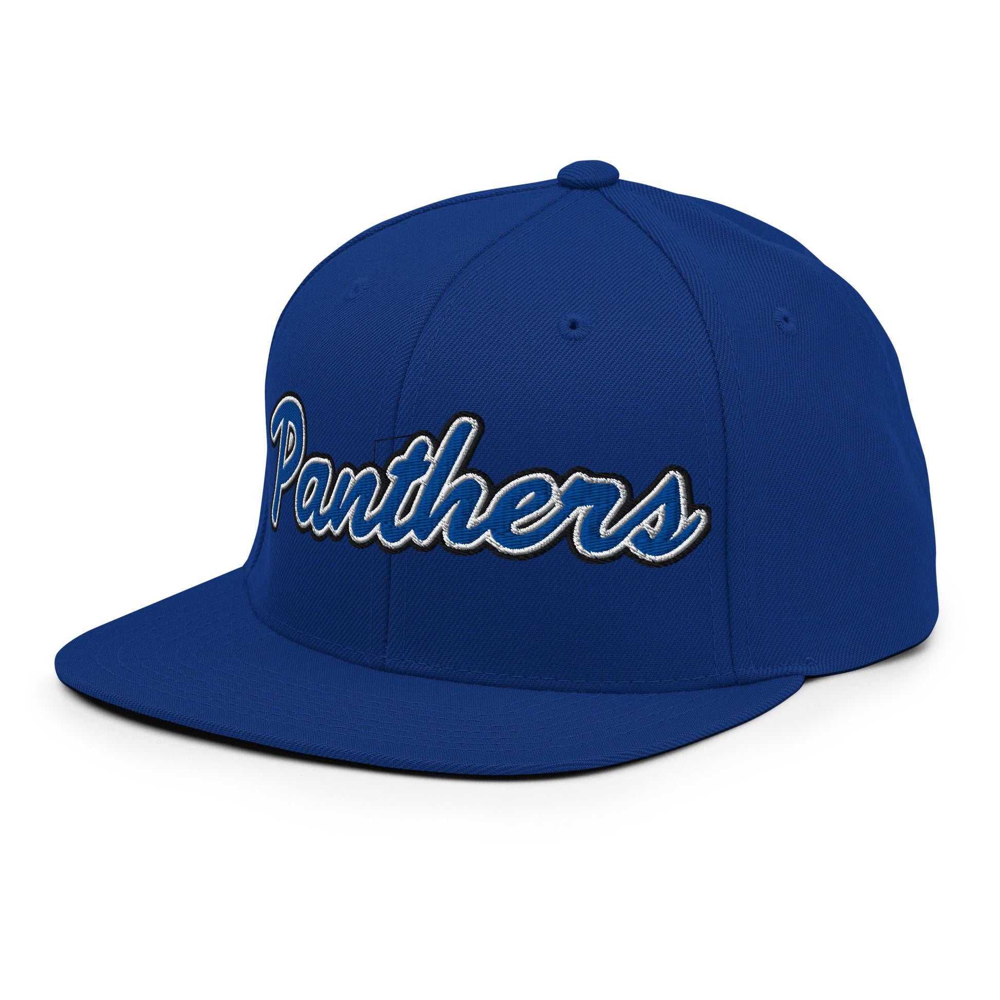 Snapback Hat | Denmark Technical College | Script Logo