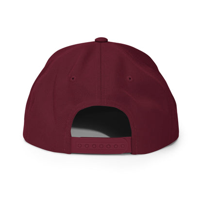 Snapback Hat | Dentists of Washington Crossing