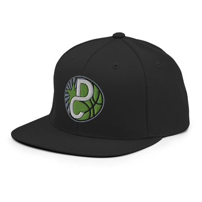 Snapback Hat | Dream Chasers | DC Logo