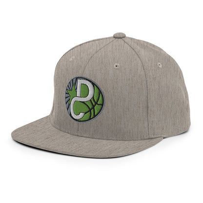 Snapback Hat | Dream Chasers | DC Logo