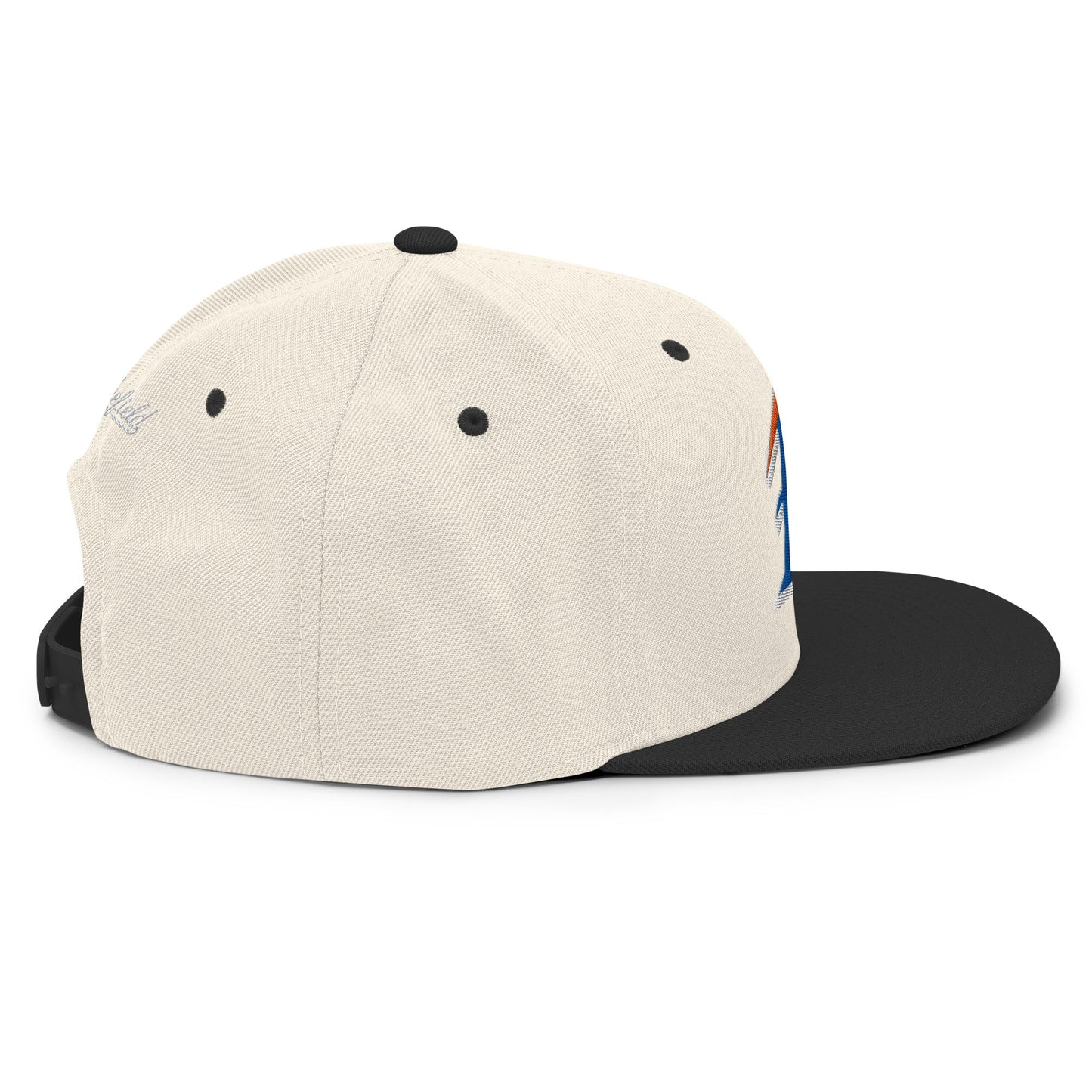 Snapback Hat | FCA FINS Baseball