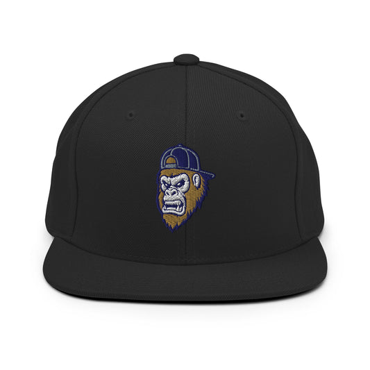 Snapback Hat | Filthy Baseball Northwest