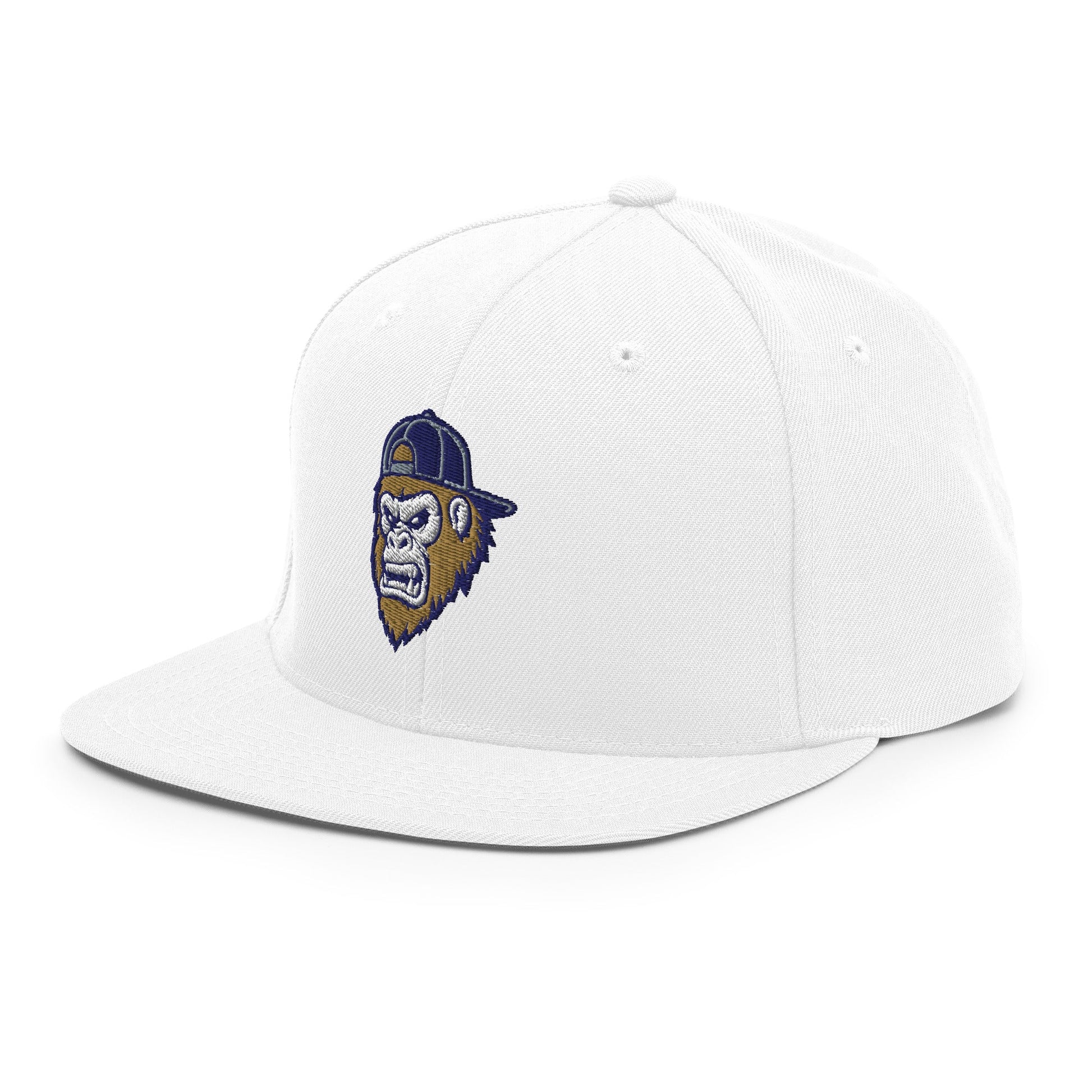 Snapback Hat | Filthy Baseball Northwest