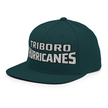 Snapback Hat | Hurricanes | Script Logo