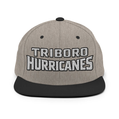Snapback Hat | Hurricanes | Script Logo