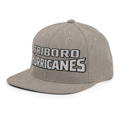 Snapback Hat | Hurricanes | Script Logo