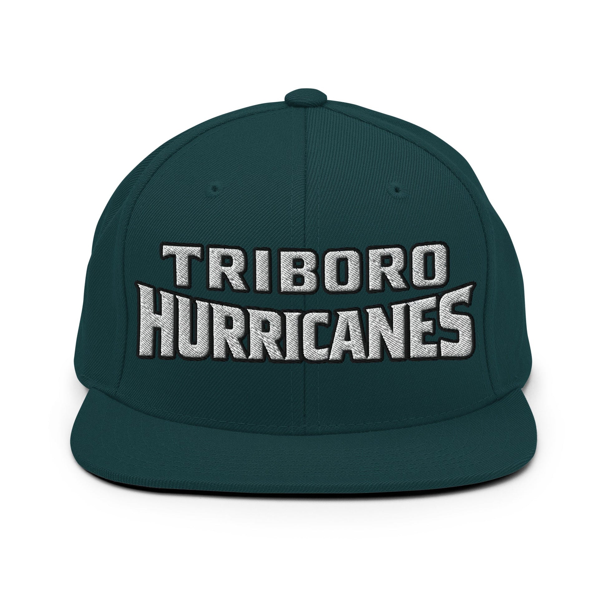 Snapback Hat | Hurricanes | Script Logo